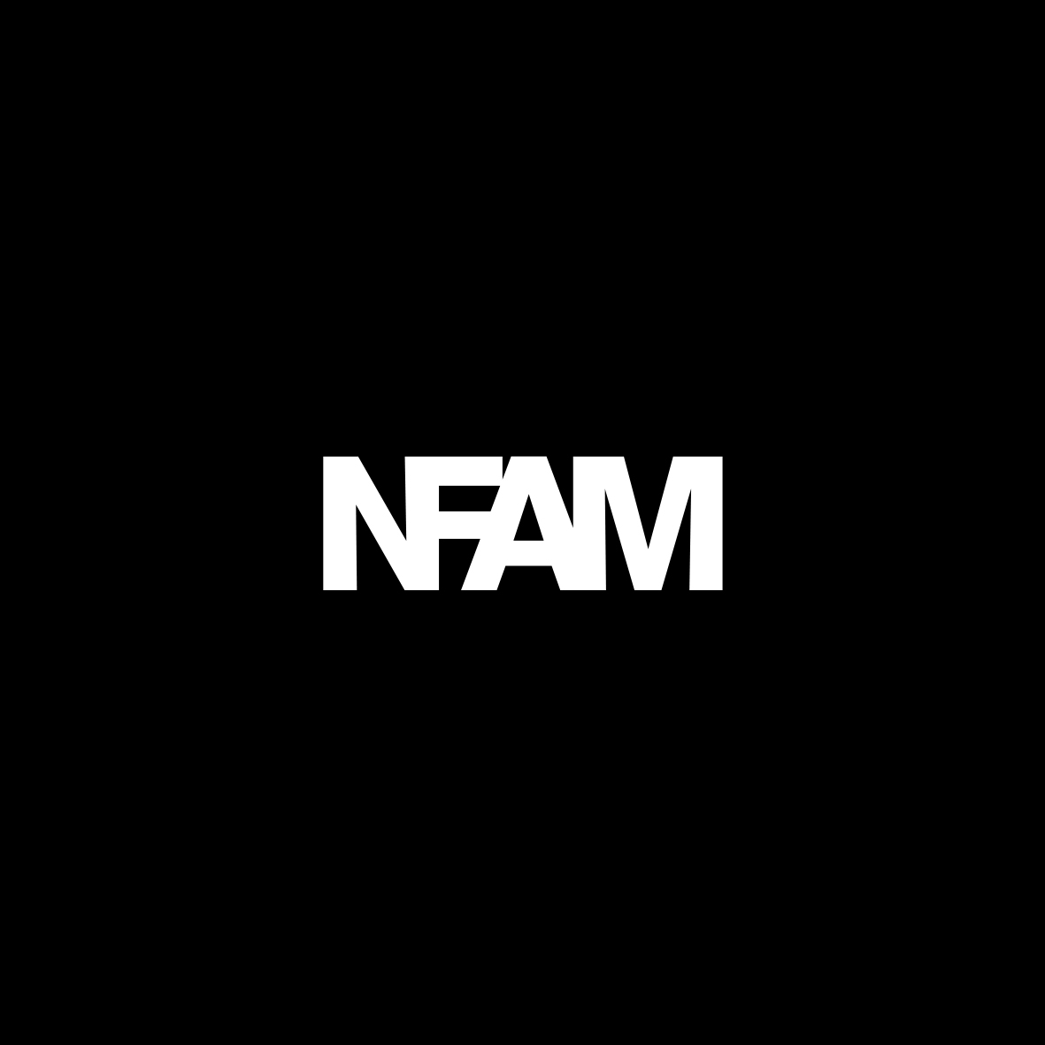 Imagen del producto NFAM