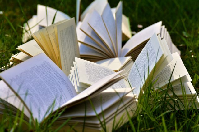 Imagen del producto Libros y libros